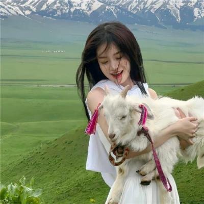 完美革命封面