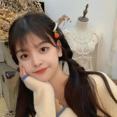 动物狂想曲第二季封面