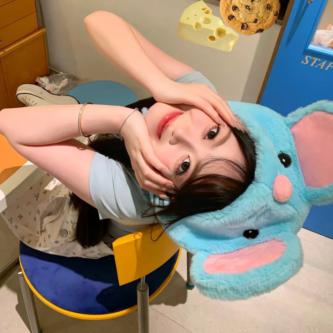 她的生存之道封面